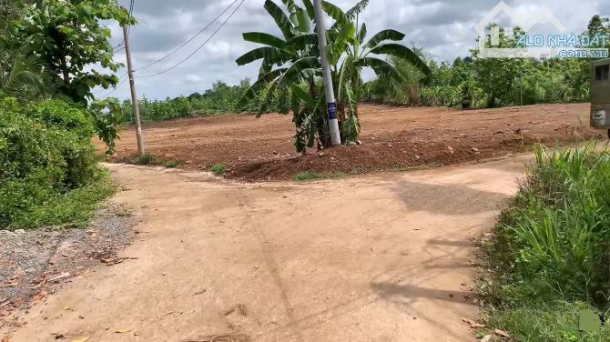 Bán đất vườn huyện Định Quán, Đồng Nai, 1,1 hecta đất trồng cây, sát trung tâm - 5