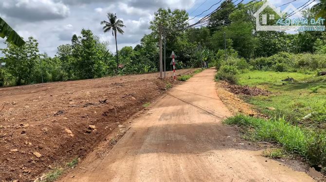 Bán đất vườn huyện Định Quán, Đồng Nai, 1,1 hecta đất trồng cây, sát trung tâm - 6