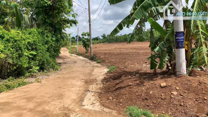 Bán đất vườn huyện Định Quán, Đồng Nai, 1,1 hecta đất trồng cây, sát trung tâm - 7