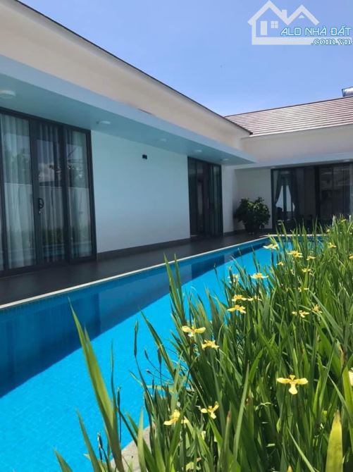 💥BÁN NHÀ VILLA MINI HỒ BƠI ĐẲNG CẤP  NGUYỄN HỮU THẤU - 1