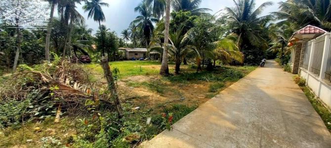 Bán đất Nhị Bình, Cách chợ trường học 1km, xe hơi tới đất - 7