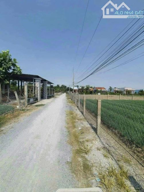Bán đất lúa có thổ cư xã Tân Trạch, H Cần Đước; 1380m2, 2mt đường xe tải