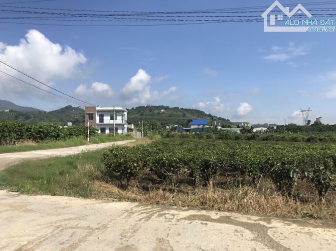 2 sào Bảo Lộc gần ql20, khu dân cư. - 2