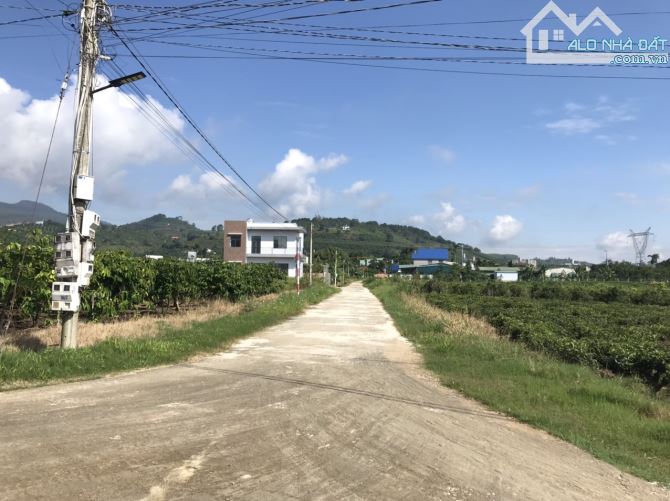 2 sào Bảo Lộc gần ql20, khu dân cư. - 4