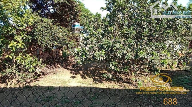 Nhà bán 279m2 Bình Hoà mặt tiền 32m giá chỉ 2,25 tỷ có nhà cấp 4 và view sông mát mẻ - 4