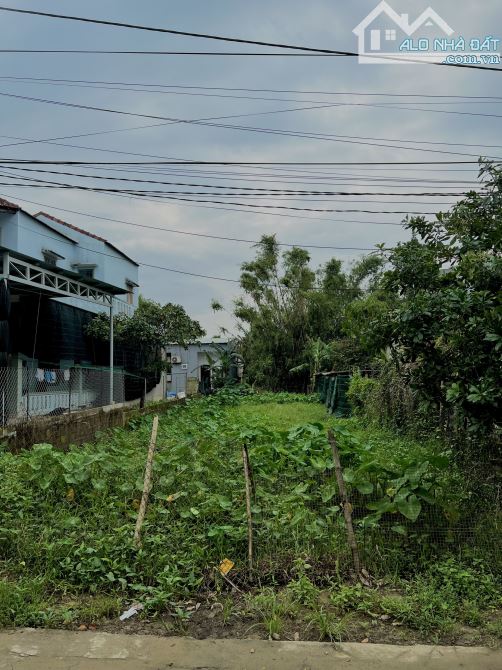 Bán đất tại phố đi bộ cầu Vân Dương, Khu đô thị Royal Park, Tp Huế - 1