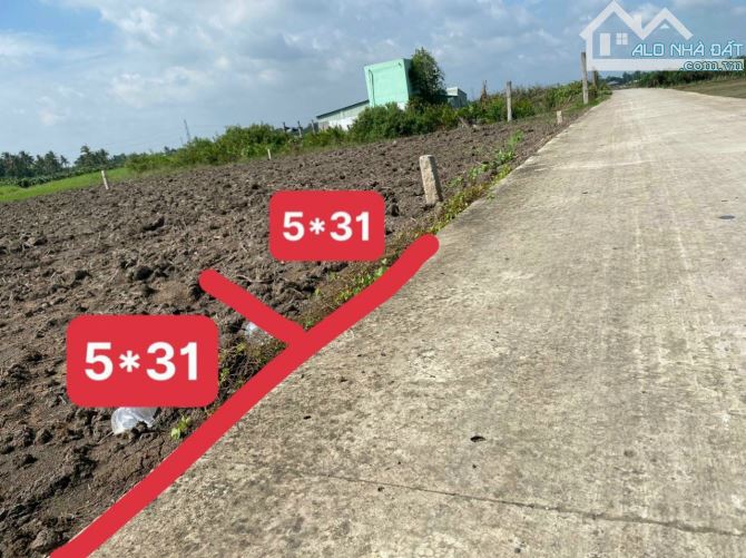 Đất thổ cư 100%. 2 Nền đất liền kề. Đường ĐT833.  DT: 155m2/nền. SHR. Xây dựng tự do.