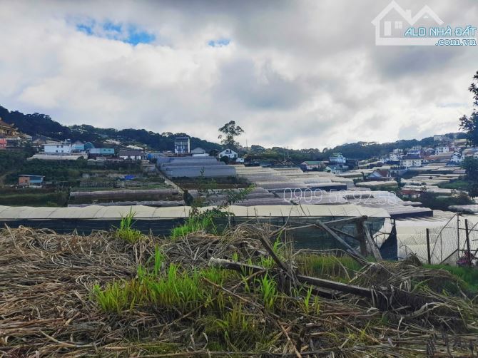 Bán gấp đất view đẹp khu dân cư gần trung tâm Đà Lạt, đi Hồ Xuân Hương hơn 4km - 1