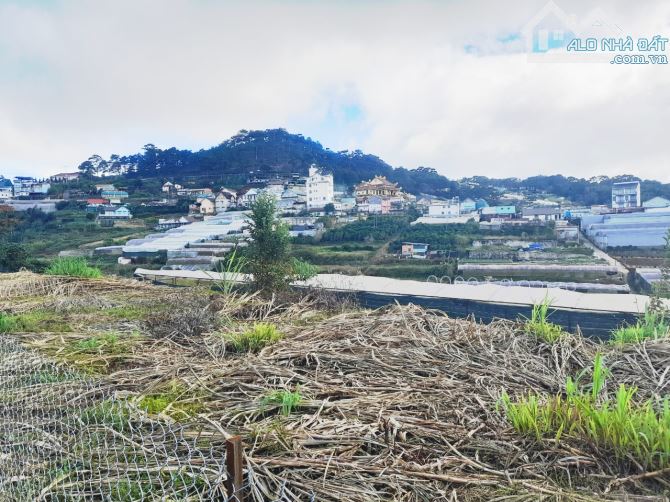 Bán đất sổ riêng 606m view đẹp trung tâm Đà Lạt gần điểm checkin cafe xóm lèo - 2