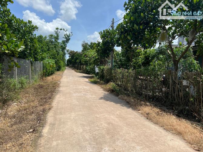 1000m2( 15x70) Vườn trái cây đẹp đường thông cách Cánh Đồng Háp 1km. GIÁ 2,3 tỷ - 3