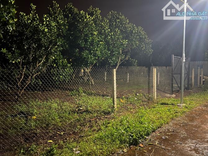 1000m2( 15x70) Vườn trái cây đẹp đường thông cách Cánh Đồng Háp 1km. GIÁ 2,3 tỷ - 4