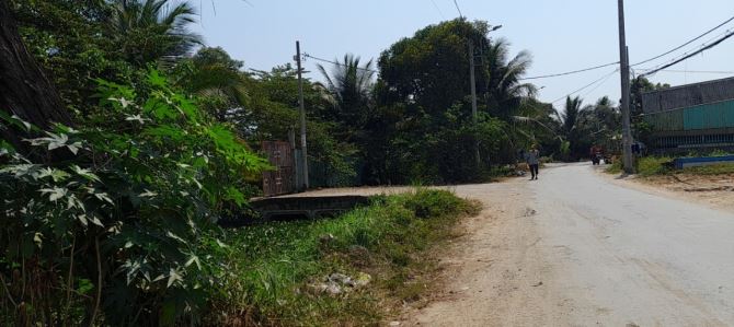 Bán 9.540 m2 đất nông nghiệp và đất trồng cây lâu năm giá 62 tỷ thương lượng - 2