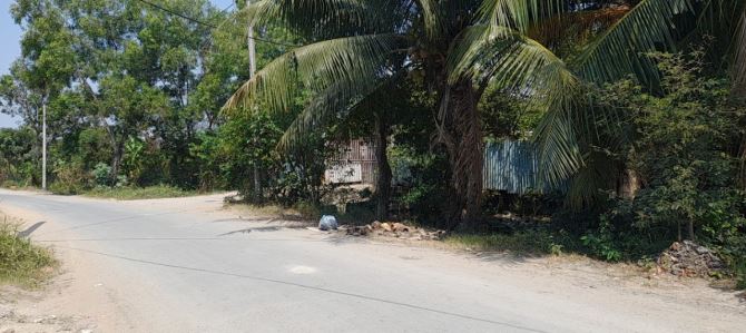 Bán 9.540 m2 đất nông nghiệp và đất trồng cây lâu năm giá 62 tỷ thương lượng - 3