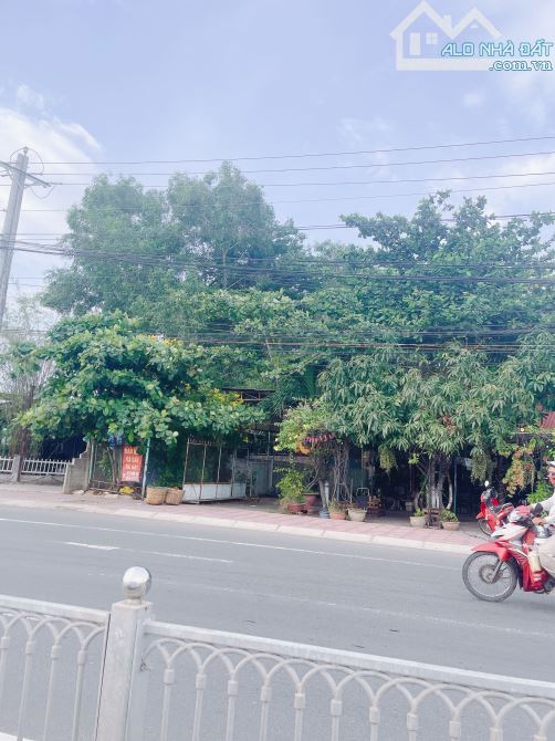 Cần Bán Đất mặt tiền đường nguyễn thông phú hài thành phố phan thiết bình thuận - 4