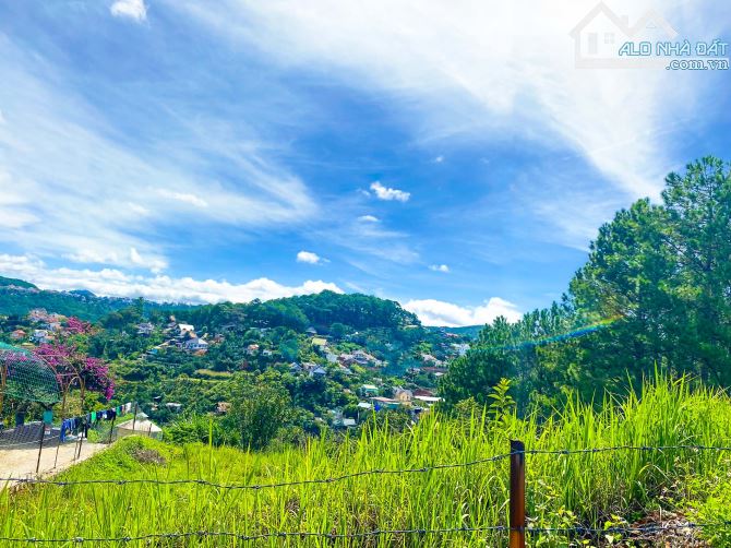 3000m bám rừng thông, view... Lô đất xây dựng đẹp đáp ứng mọi tiêu chí du lịch nghỉ dưỡng - 1