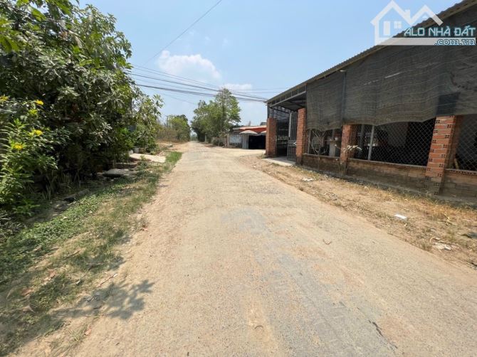 Bán đất Diên Đồng có thổ cư mặt tiền đường nhựa liên xã - 2