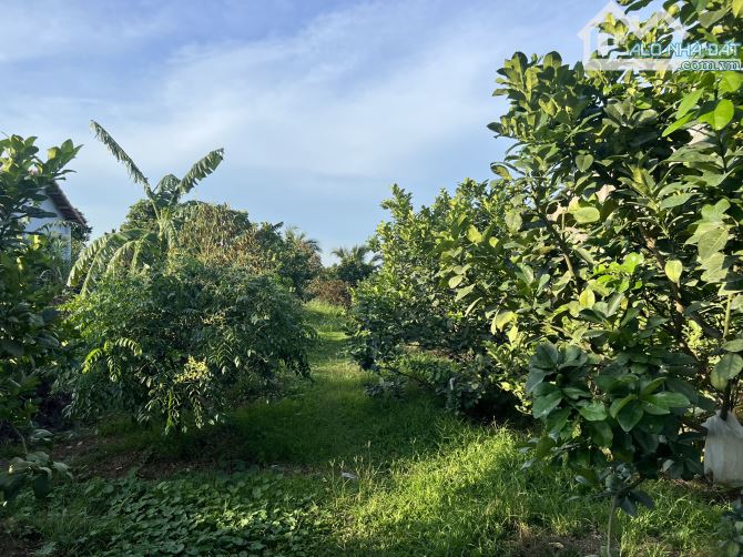 Bán 1000m2 MT Bình Hoà - Cây Dương giá 4,5 tỷ SHR view sông Đồng Nai đường rộng thoáng