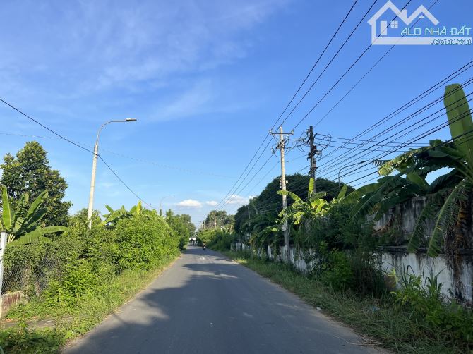 Bán 1000m2 MT Bình Hoà - Cây Dương giá 4,5 tỷ SHR view sông Đồng Nai đường rộng thoáng - 3