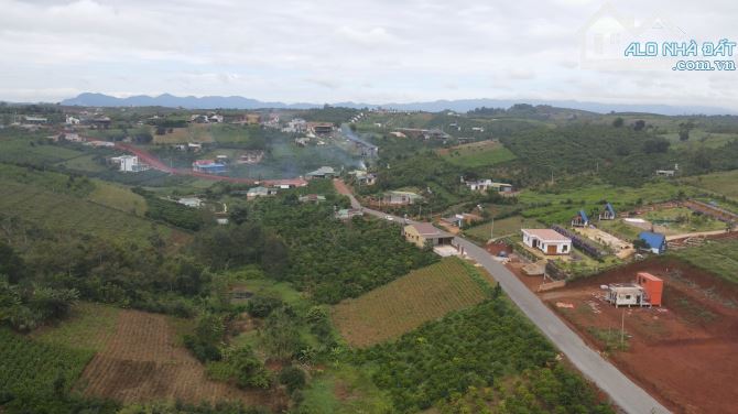 Bán Đất Thành phố Bảo Lộc 5000m2 nở hậu, view thoáng đẹp ngay Uỷ ban - 1
