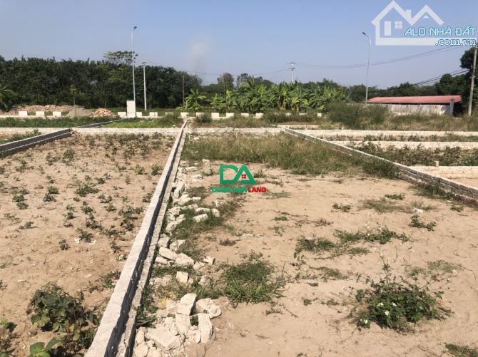 Bán đất đấu giá X1 thôn Hội Phụ xã Đông Hội huyện Đông Anh - 2