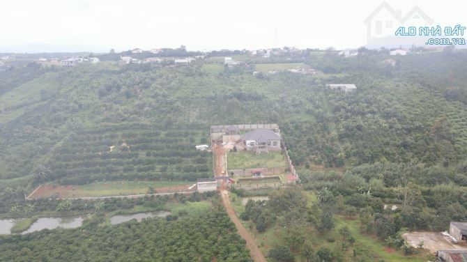 Bán Đất Thành phố Bảo Lộc 5000m2 nở hậu, view thoáng đẹp ngay Uỷ ban - 3