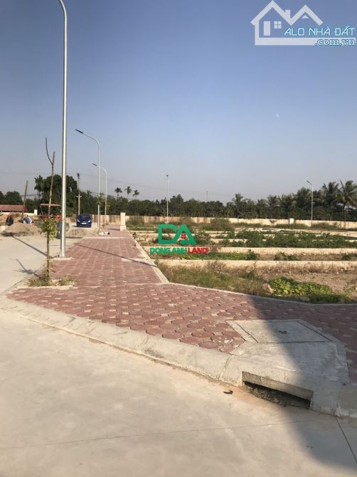 Bán đất đấu giá X1 thôn Hội Phụ xã Đông Hội huyện Đông Anh - 3