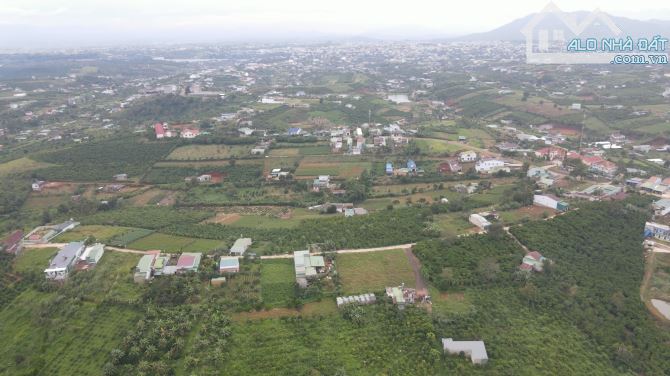 Bán Đất Thành phố Bảo Lộc 5000m2 nở hậu, view thoáng đẹp ngay Uỷ ban - 4