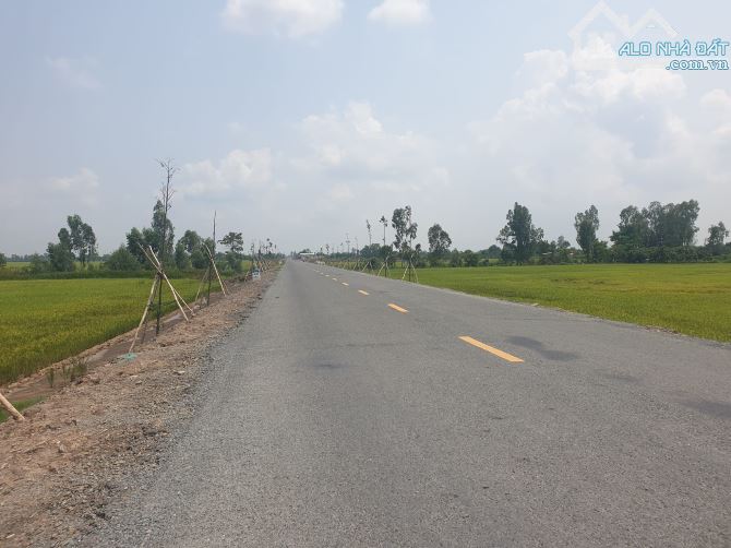 * Cần bán 03 nền liền đất thổ giáp mặt tiền đường ĐT 846, xã Tân Nghĩa, huyện Cao Lãnh.