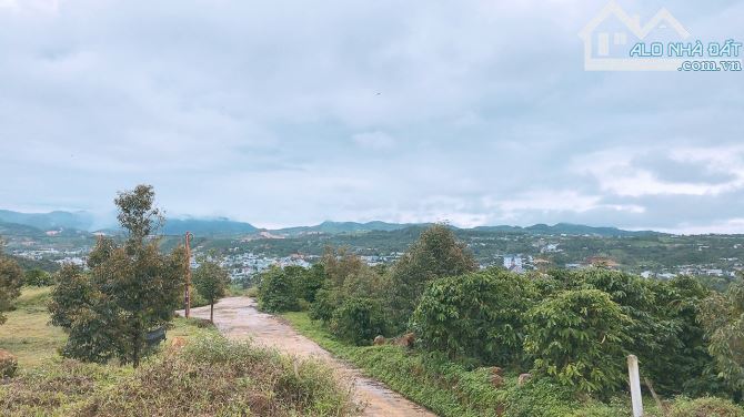 3.5 sào Lộc Châu Bảo Lộc view triệu đô. - 1