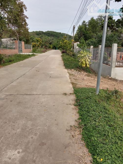 ĐẤT VƯỜN GẦN SÔNG ĐỒNG NAI 1065M2(23MX49M) MẶT TIỀN BÊ TÔNG KHU DÂN CƯ CHỈ 695TR - 1