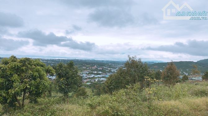 3.5 sào Lộc Châu Bảo Lộc view triệu đô. - 2