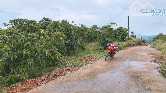 3.5 sào Lộc Châu Bảo Lộc view triệu đô. - 3