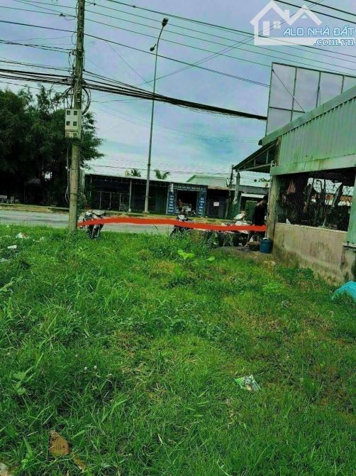 Đất mt đường 827A, Hoà Phú, Châu Thành, LA - 3