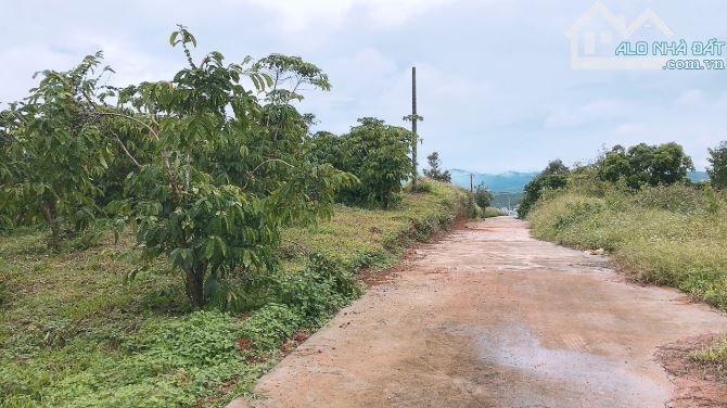 3.5 sào Lộc Châu Bảo Lộc view triệu đô. - 4