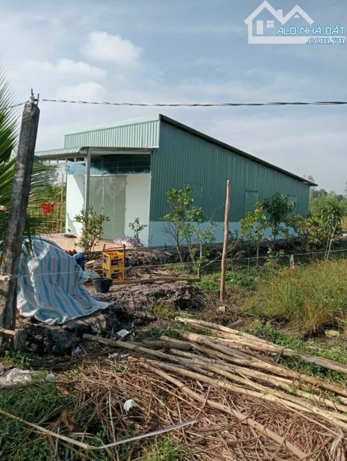 500m2 đất vườn Bình đức, 11 x47m, sổ hồng riêng, đường 3m, 480 triệ - 5