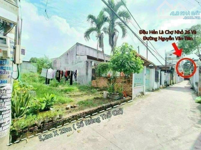 Bán lô đất sổ riêng thổ cư tai phường Tân Phong-Biên Hòa-Đồng Nai - 2