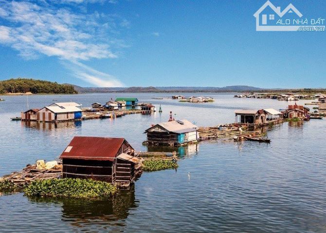 BÁN ĐẤT GIÁP SÔNG ĐỒNG NAI 6700M2 CÓ 100M MẶT TIỀN SÔNG VIEW ĐẸP CHỈ 4TY8