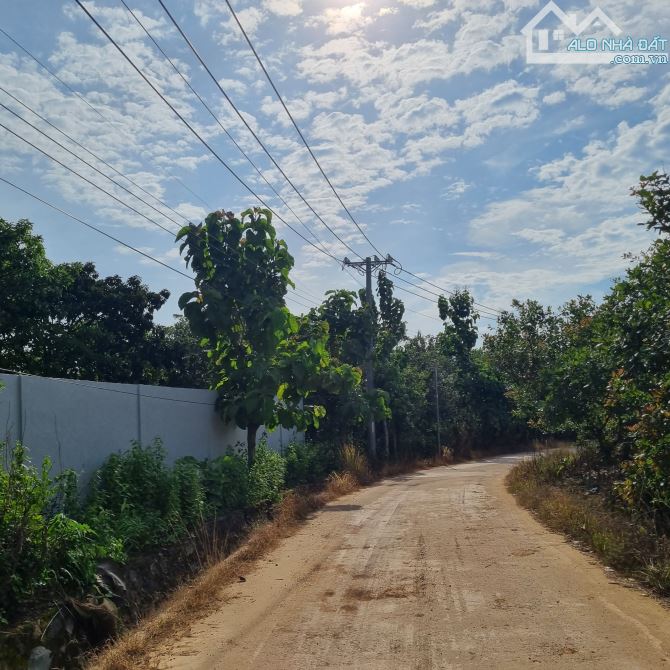BÁN ĐẤT VƯỜN CÓ THỔ CƯ 1100M2(15MX62M) CÓ SẴN 100M2 THỔ CƯ MẶT TIỀN BÊ TÔNG CHỈ 980TR - 1