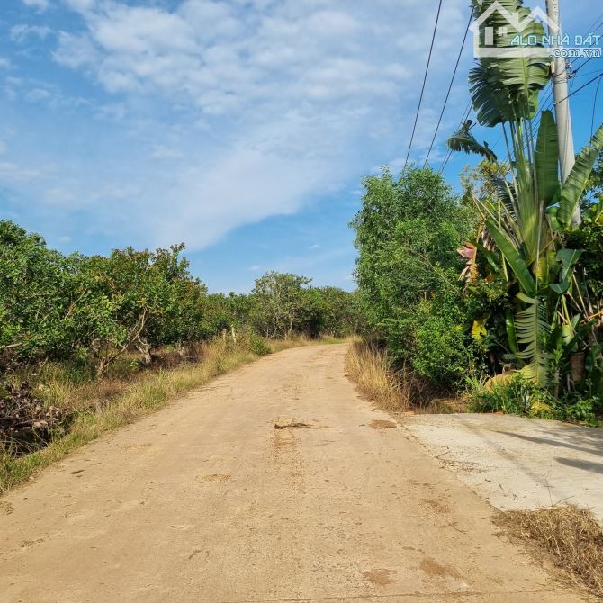 BÁN ĐẤT VƯỜN CÓ THỔ CƯ 1100M2(15MX62M) CÓ SẴN 100M2 THỔ CƯ MẶT TIỀN BÊ TÔNG CHỈ 980TR - 2