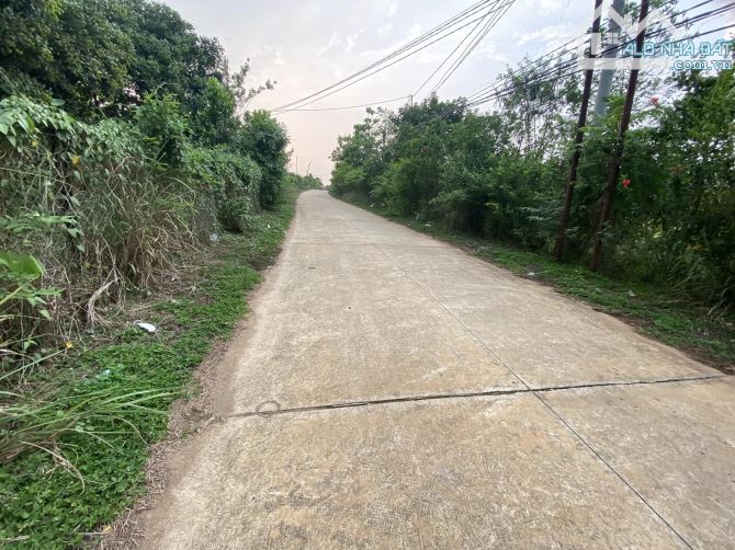 ĐẤT VƯỜN CÓ THỔ CƯ 1107.9M2 CÓ SẴN 100M2 THỔ CƯ GIÁ RẺ NHẤT KHU VỰC CHỈ 930 TRIỆU - 1