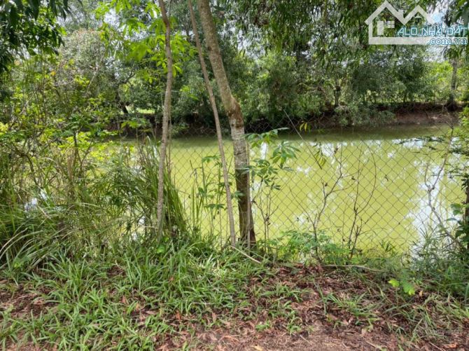 Chính chủ cần bán hơn 1100m2 đất phủ hồng có  100m thổ cư gần Hồ Trị An La Ngà,Định Qúan - 1