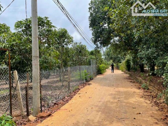 Chính chủ cần bán hơn 1100m2 đất phủ hồng có  100m thổ cư gần Hồ Trị An La Ngà,Định Qúan - 2