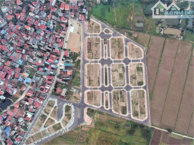 Bán đất đấu giá Đông Hội Đông Anh gần cầu Tứ Liên - 3