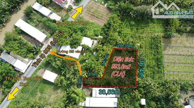 Bán lô đất liền kề đường tỉnh 905 (lộ 16) cách thị trấn Tam Bình khoảng 2km