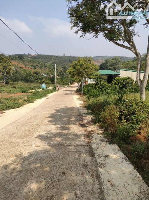 Bán đất Bảo Lộc 1091m2 view thoáng rất đẹp có sẵn 200m2 thổ cư - 2