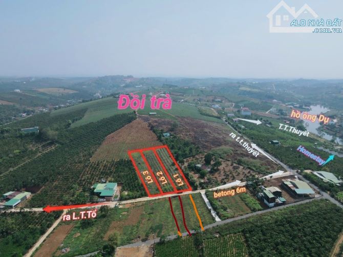 Bán đất Bảo Lộc 1091m2 view thoáng rất đẹp có sẵn 200m2 thổ cư - 3