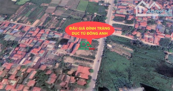Bán đất đấu giá Đình Tràng Dục Tú Đông Anh mặt đường kinh doanh - 1