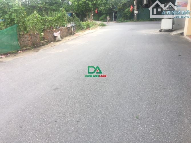 Bán đất đấu giá Tiên Hội Đông Hội Đông Anh - 1