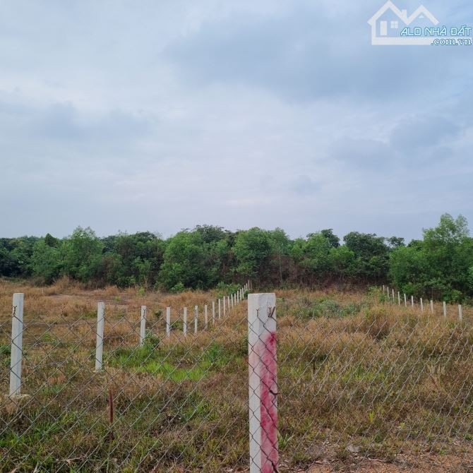 BÁN ĐẤT 1 SẸC QUỐC LỘ 20 MẶT TIỀN BÊ TÔNG 1000M2(16MX60M) KHU DÂN CƯ ĐÔNG CHỈ 1TY2 - 2