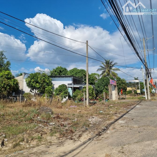 CÁCH QUỐC LỘ 20 200M BÁN ĐẤT VƯỜN BƯỞI 1465M2 KHU DÂN CƯ ĐÔNG CHỈ 1TY450 - 3